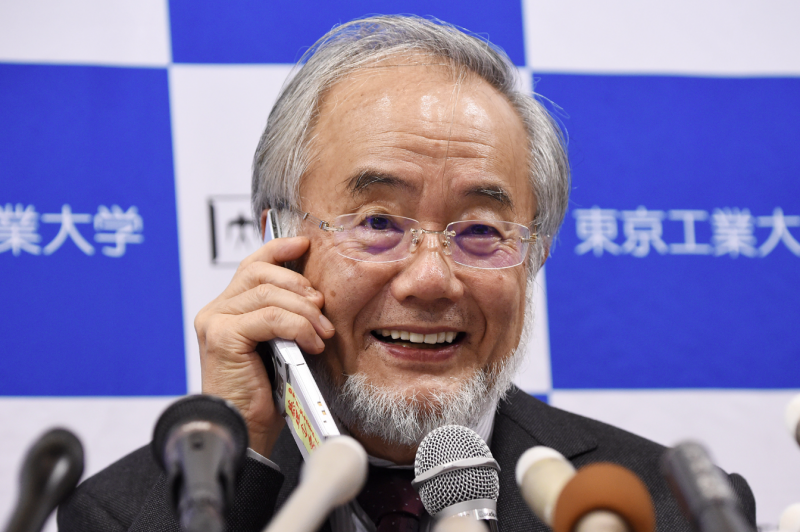 Yoshinori Ohsumi